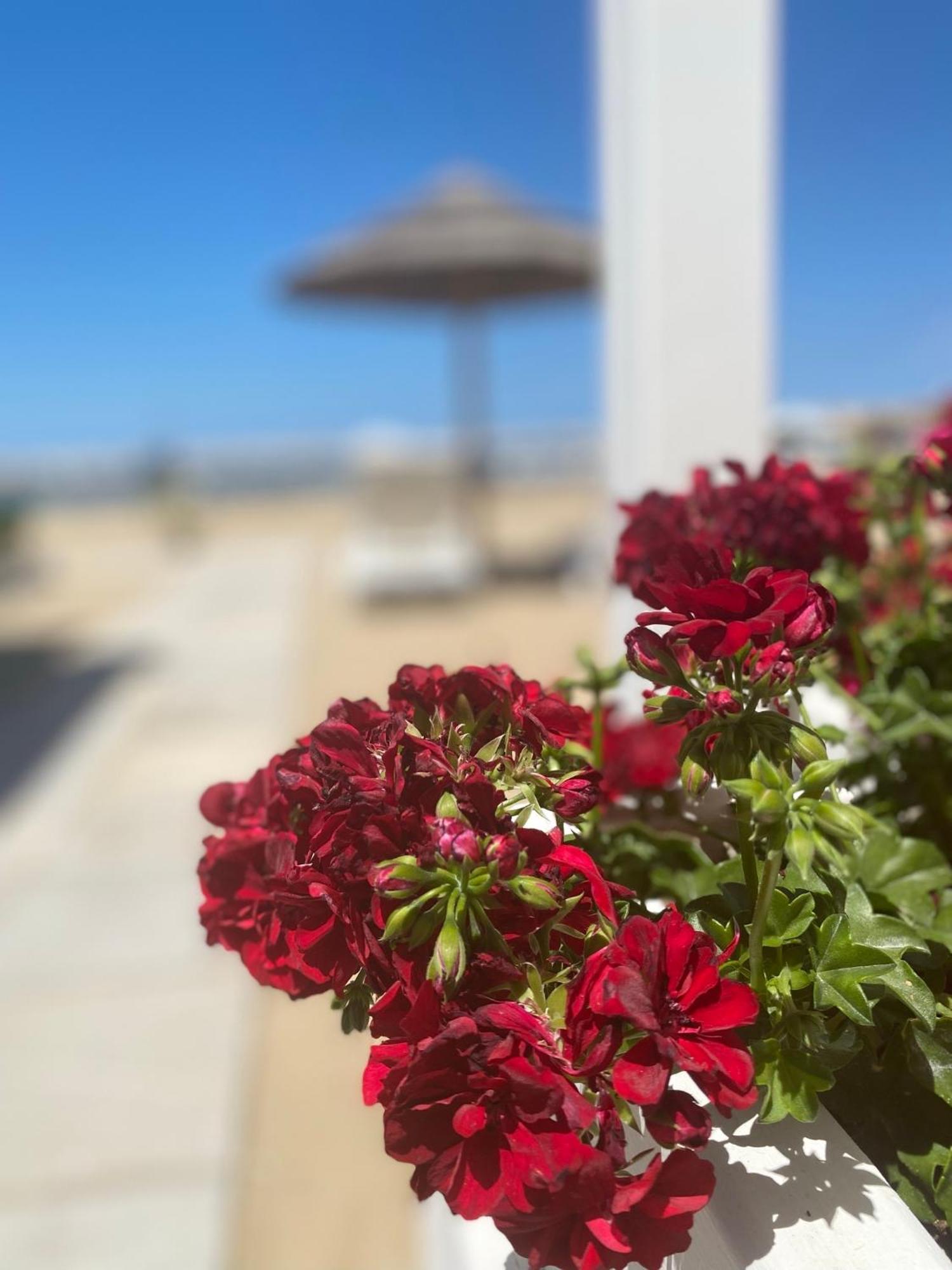 Marina Bay Beach Hotel Peschici Exterior photo